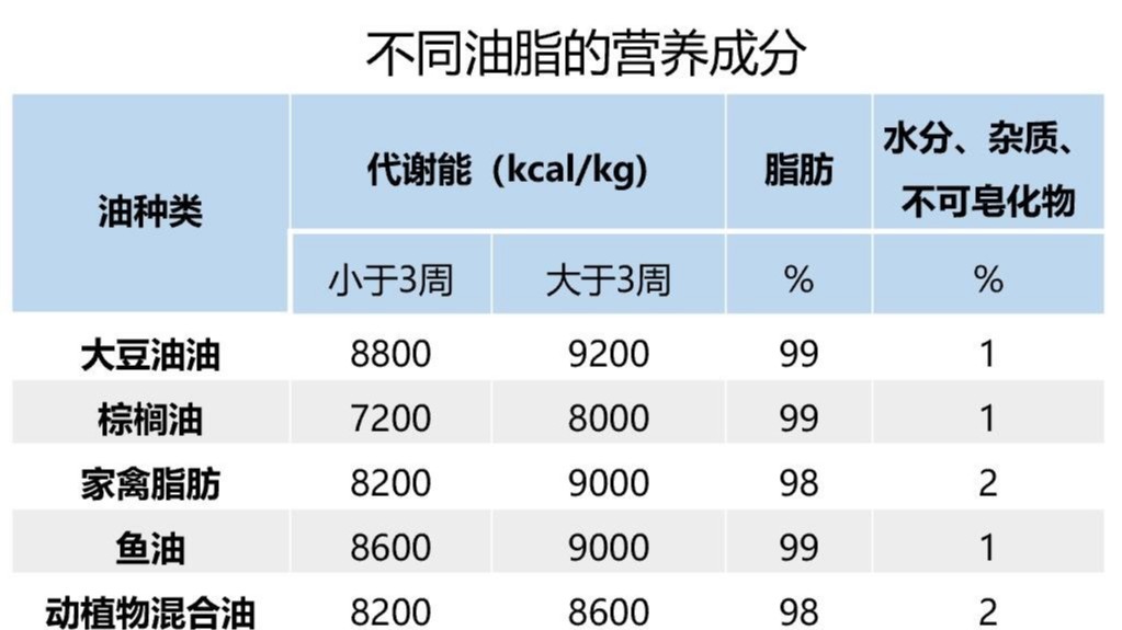 遠卓農(nóng)牧蛋雞養(yǎng)殖自動化設(shè)備：油脂在蛋雞上的應(yīng)用及質(zhì)量控制措施