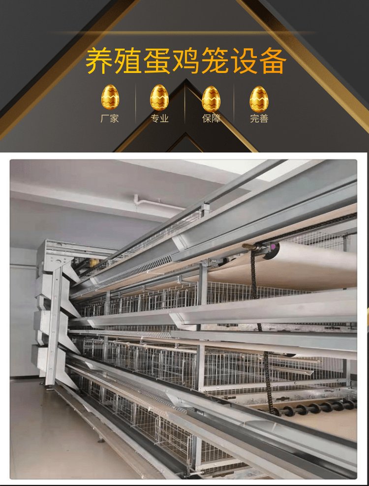 籠養(yǎng)蛋雞的通風(fēng)問(wèn)題，怎么做才能盡可能的給雞群提供更好的環(huán)境？