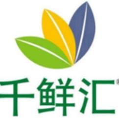 梦幻西游SF_梦幻西游私服