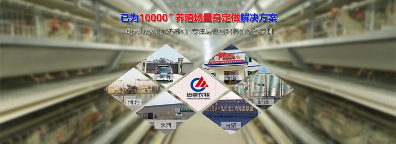 bfe5a24a39bd4a8ab9db4dc2e228e309_6.jpg