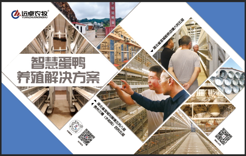d396e4c245de40759f4f0587068afff3_9_看圖王.jpg